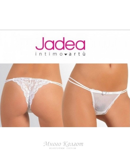 Jadea intimo 1487
